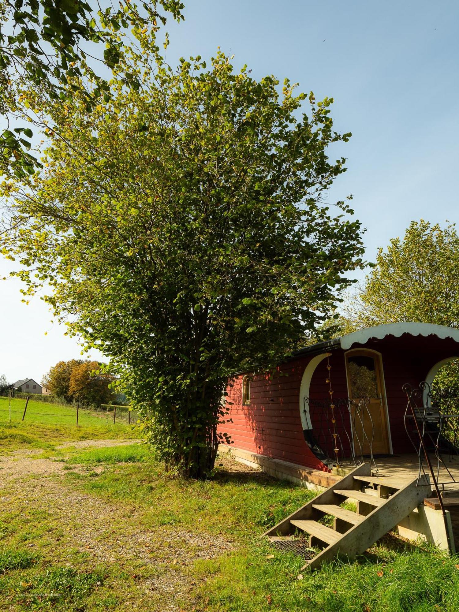 LierneuxLa Tiny House De La Bergerie别墅 外观 照片